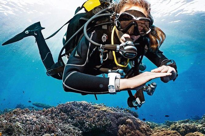 Lisbon Eco-Try Dive - Diving Baptism - Lisbon Eco-Try Dive - Diving Baptism: An Honest Look at an Eco-Friendly Underwater Adventure