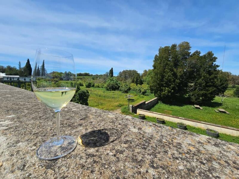 Lisbon: Évora (w/ Cathedral & Bones), Cartuxa & Cork Factory - Who Would Enjoy This Tour?