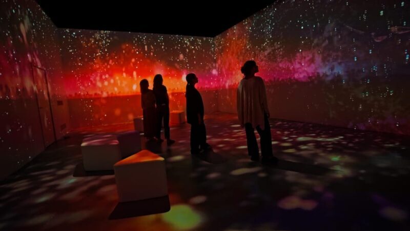 Lisbon: Experience the Queen of Fado at AH AMÁLIA - Key Points