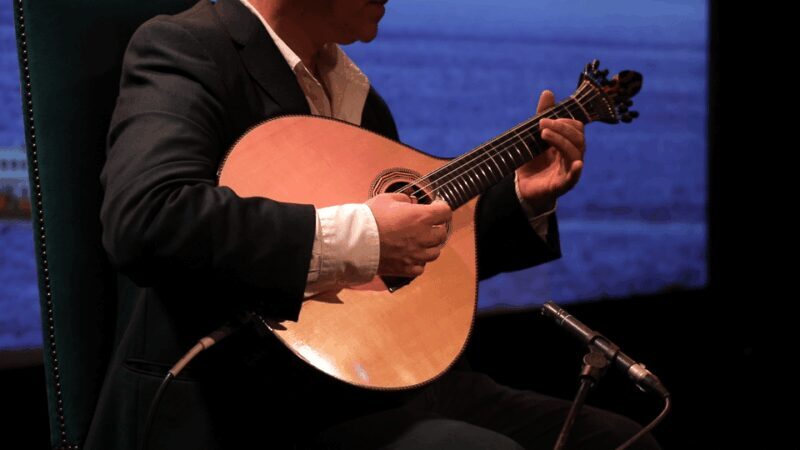 Lisbon: Fado in Chiado Live Show - What Is the Fado in Chiado Show All About?