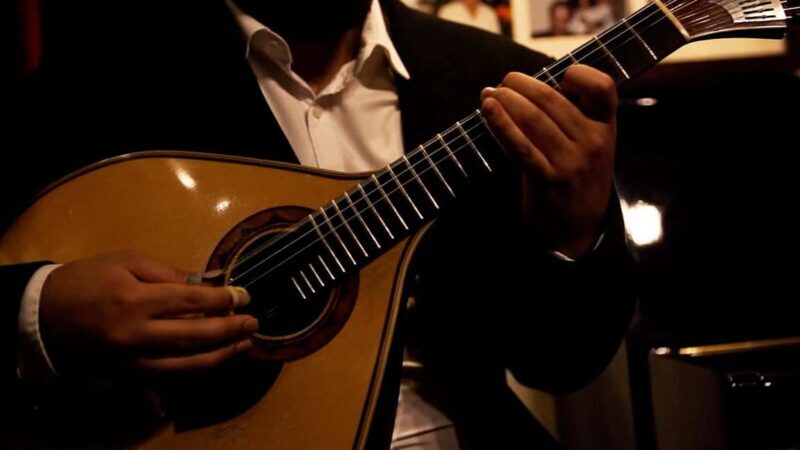 Lisbon: Fado Night Tour with Dinner and Show - Key Points