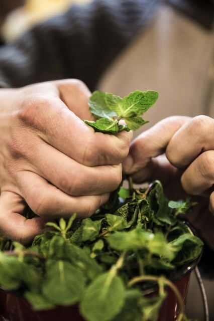 Lisbon: Food and Culture 3-Hour Walking Tour - Who Would Love This Tour?