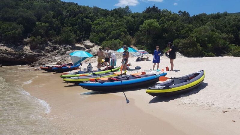 Lisbon: Full-Day Kayak Tour with Picnic and Transfer - The Experience in Detail