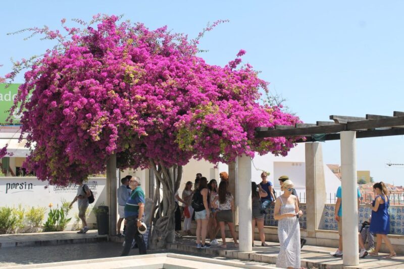 Lisbon: Full-Day Private Walking Sightseeing Tour - A Closer Look at the Lisbon Private Walking Tour