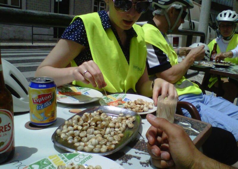 Lisbon: Go Taste Electric Bike Tour - Who Would Love This Tour?