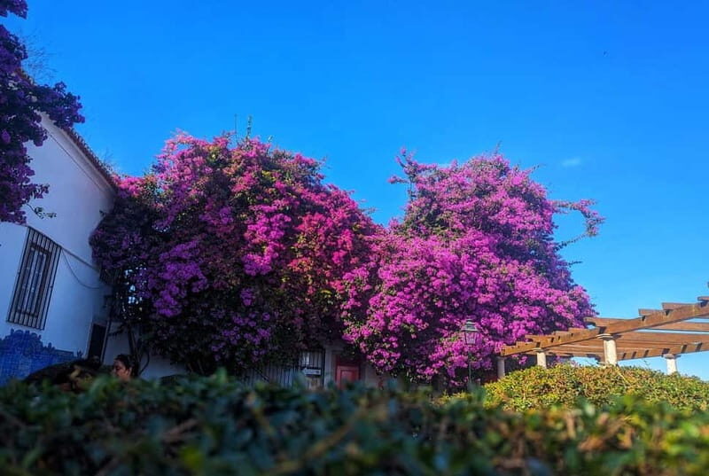 Lisbon: Guided Sightseeing Tour by Tuk Tuk - FAQ