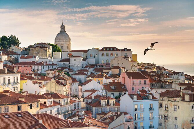 Lisbon Half Day Private Tour - Why This Tour Works for Travelers