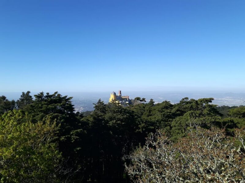 Lisbon: Half-Day Sintra Tour with Pena Palace and Regaleira - Frequently Asked Questions