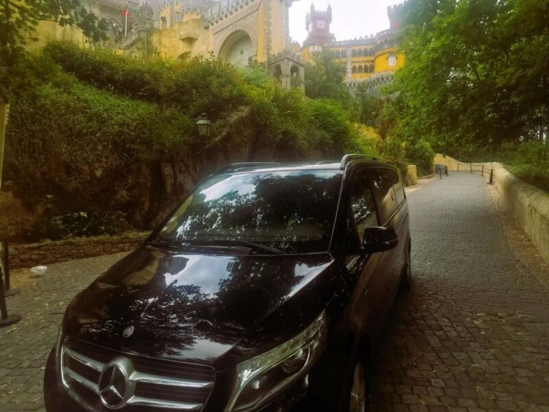 Lisbon: Half-Day Tailor-Made Private Tour with Your Guide - The Value Proposition