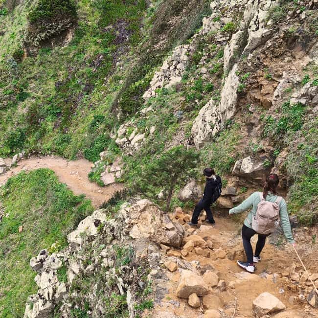 Lisbon: Hike on the Edge of Europe - Who Is This Tour Best For?