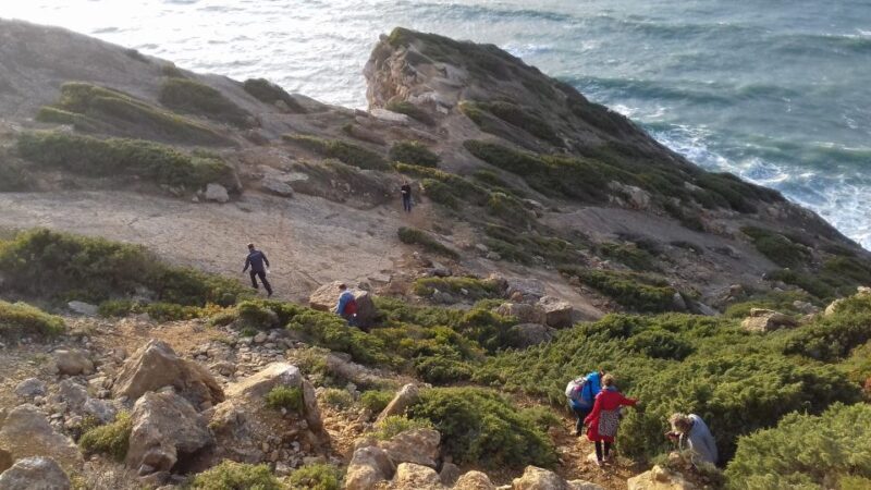 Lisbon: Hiking in Arrábida Natural Park - FAQ