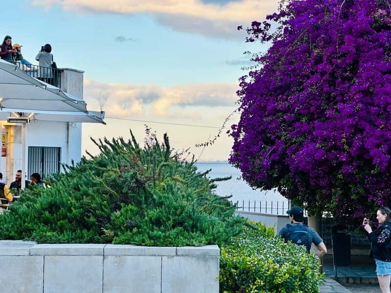 Lisbon: Historic City Tour by Tuk Tuk - Final Thoughts: Is This Tour Worth It?