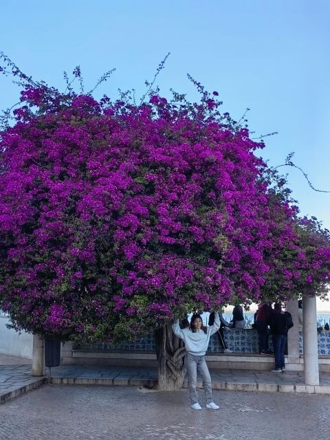 Lisbon: hop on hop off sightseeing Tuktuk tour - Why Choose the Lisbon Tuktuk Tour?