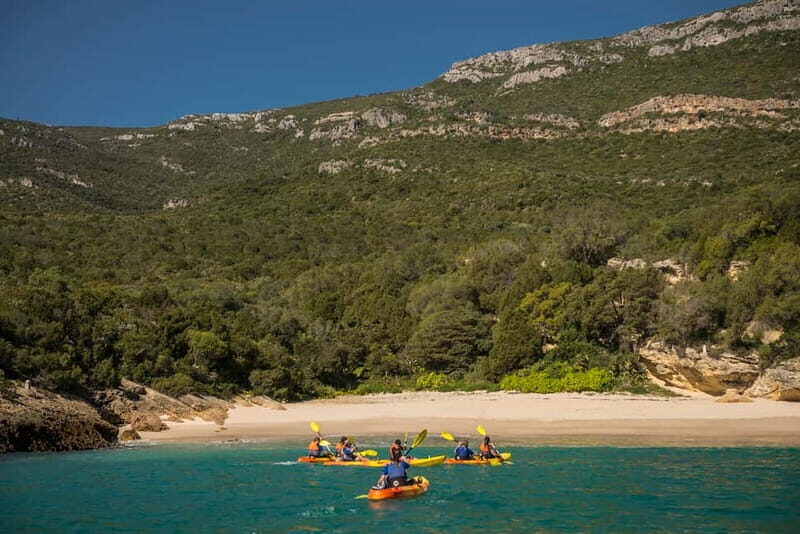 Lisbon: Kayak Tour Arrábida Natural Park, Setubal, Sesimbra - Final Thoughts