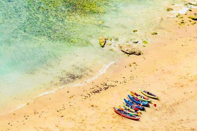 Lisbon Kayak Tour (Transfer & Lunch) - Why We Think This Tour Works