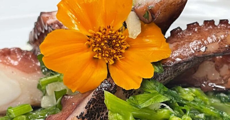 Lisbon: Market Experience & Cooking Class - FAQ