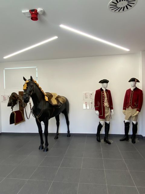 Lisbon: Morning of Equestrian Art with Lusitano Horses - FAQ