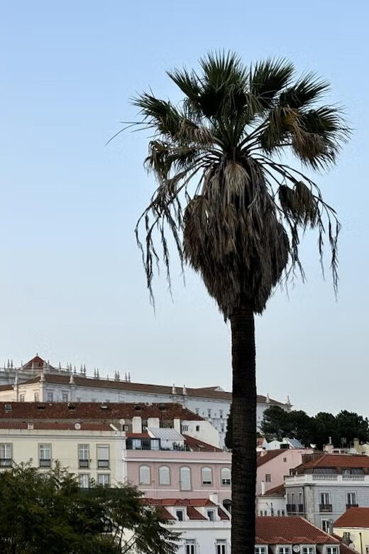 Lisbon: Mysteries and Legends of the City Guided Tour - Starting Point: The Arco da Rua Augusta
