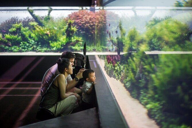 Lisbon Oceanario: Aquarium Entrance Ticket - The Sum Up