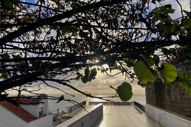 Lisbon Off The Beaten Track and Main Sights Private Walking Tour - Frequently Asked Questions