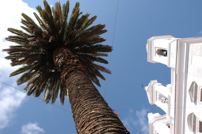 Lisbon Old town Tour - Who Would Love This Tour?