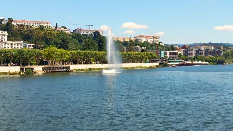 Lisbon: One Way to Douro Valley through Coimbra and Obidos - The Journey: What to Expect and Why It Matters