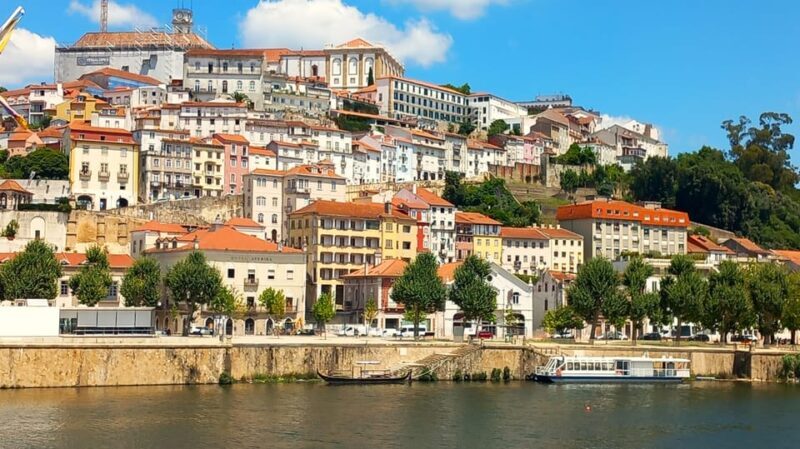 Lisbon: One Way to Douro Valley through Coimbra and Obidos - Who Should Consider This Tour?