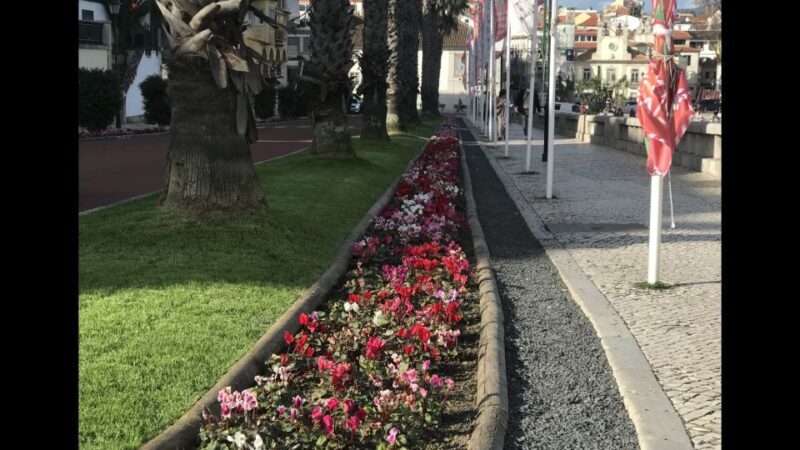 Lisbon: Pena Palace, Sintra, Cascais, and Cabo Roca Day Trip - Key Points