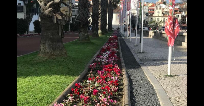 Lisbon: Pena Palace, Sintra, Cascais, and Cabo Roca Day Trip - Who Should Book This Tour?