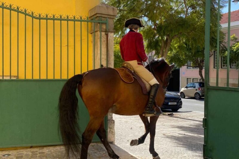 Lisbon: Portuguese Riding School Trainig with Lusitano Horse - Key Points