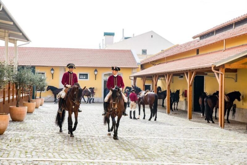Lisbon: Portuguese Riding School Trainig with Lusitano Horse - What to Expect: An Inside Look at the Experience
