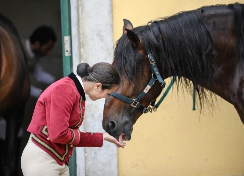 Lisbon: Portuguese Riding School Trainig with Lusitano Horse - Who Should Consider This Tour?