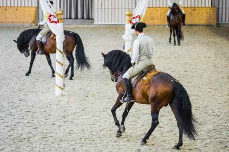 Lisbon: Portuguese Riding School Trainig with Lusitano Horse - Review Highlights from Past Participants