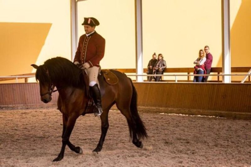 Lisbon: Portuguese Riding School Trainig with Lusitano Horse - FAQs