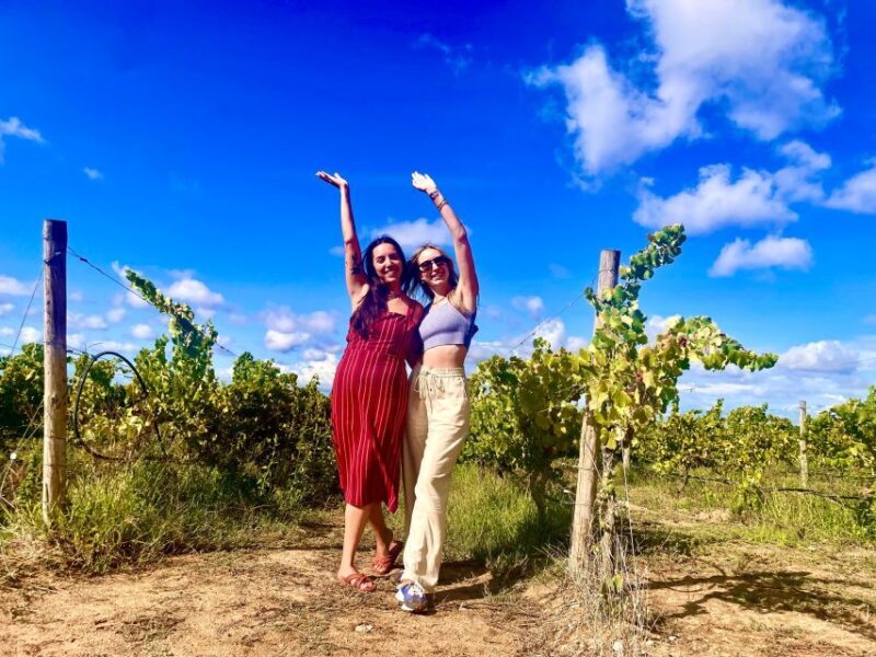Lisbon: Private All Inclusive Setúbal & Arrábida Wine Tour - Final Thoughts: Is This Tour Right For You?