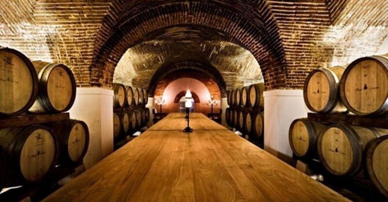 Lisbon: Private Full Day Evora & Alentejo Wine Tour - Who Is This Tour For?