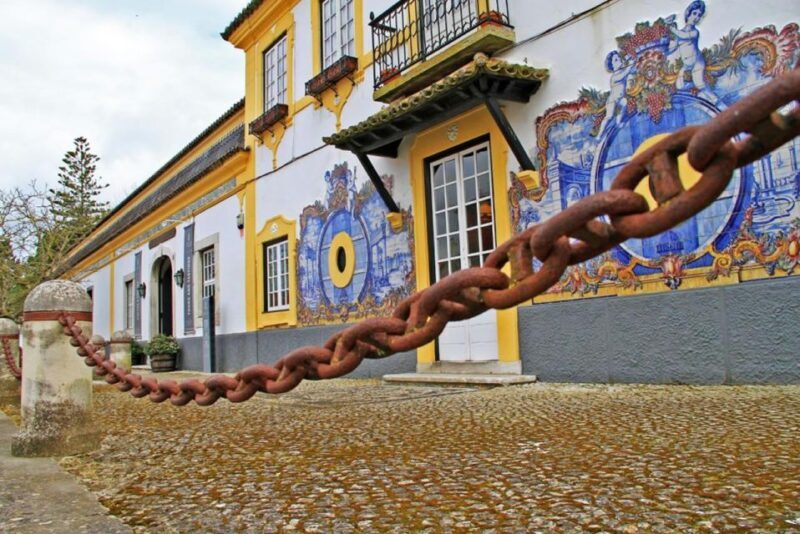 Lisbon: Private Full-Day Wine Tasting Tour in a premium car - Key Points