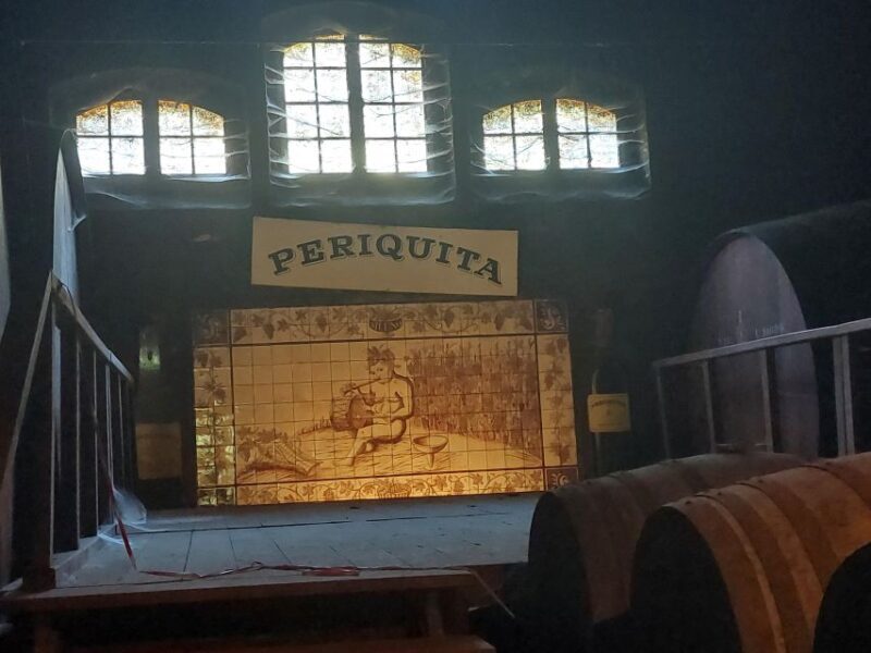 Lisbon: Private Full-Day Wine Tasting Tour in a premium car - What to Expect from the Tour