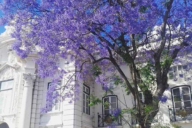 Lisbon: Private Guided Electric Tuk Tuk Tour with Tastings - FAQ