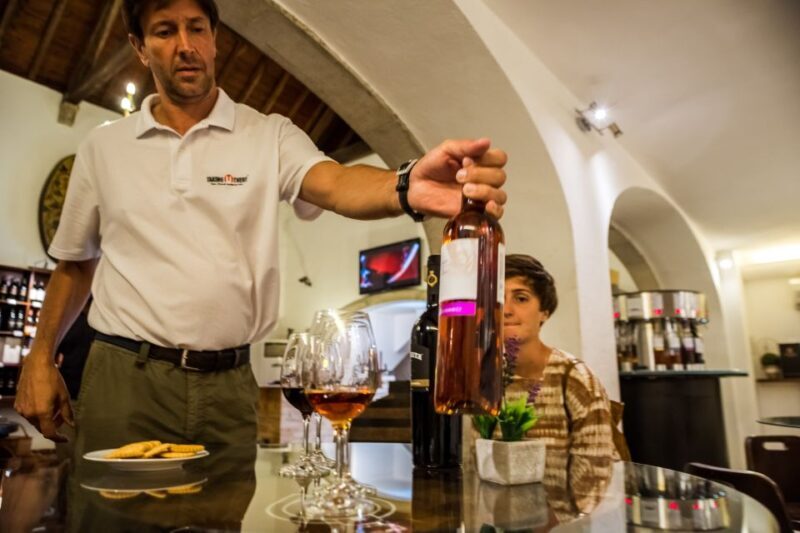 Lisbon Private Setúbal Region Wine Tasting Tour - The Itinerary: A Day in the Portuguese Wine Region