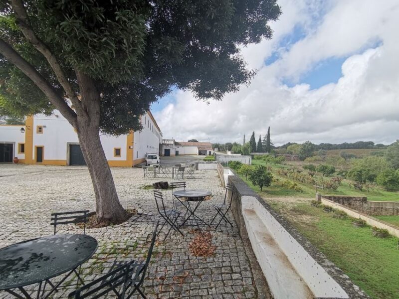 Lisbon: Private Tour Evora with Wine Tasting at the Cartuxa - The Journey to Évora: What to Expect