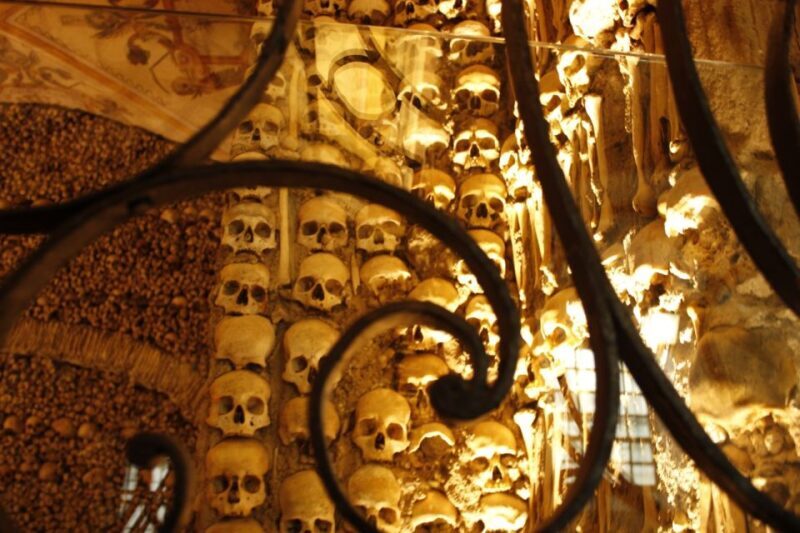 Lisbon: Private Tour to Évora and Cork Factory - Final Thoughts