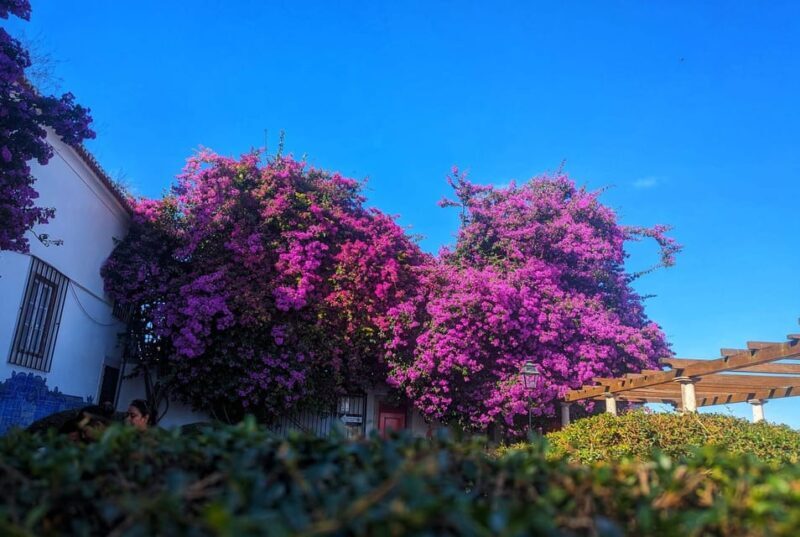 Lisbon: Private Tuk Tuk Tour with Polaroid Photos - The Bottom Line