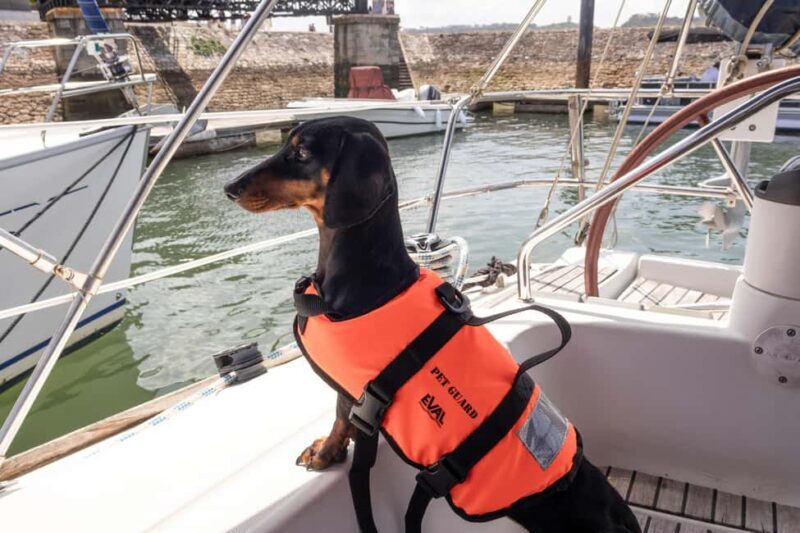 Lisbon: Sailing trip on the Tagus River - The Boat and Crew