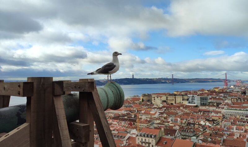 Lisbon: São Jorge Castle Skip-the-Line Ticket & Guided Tour - Practical Details and Tips