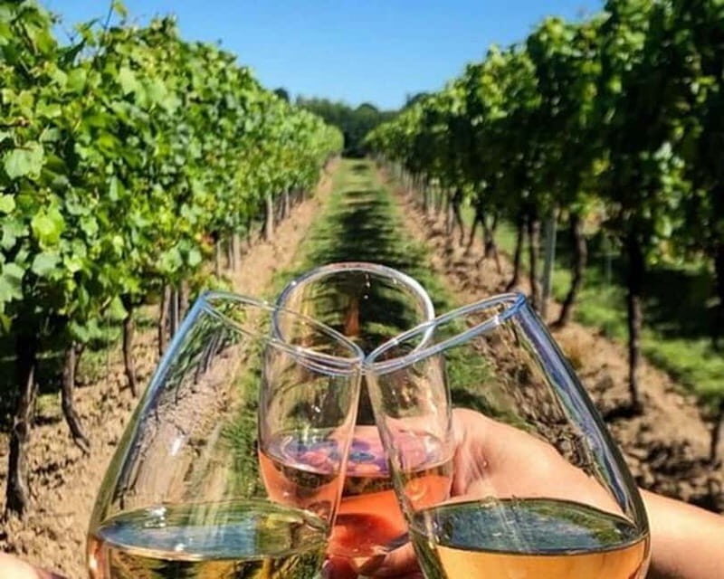 Lisbon: Setúbal, Arrábida and Azeitão Private Wine Tour - Lisbon: Setúbal, Arrábida and Azeitão Private Wine Tour