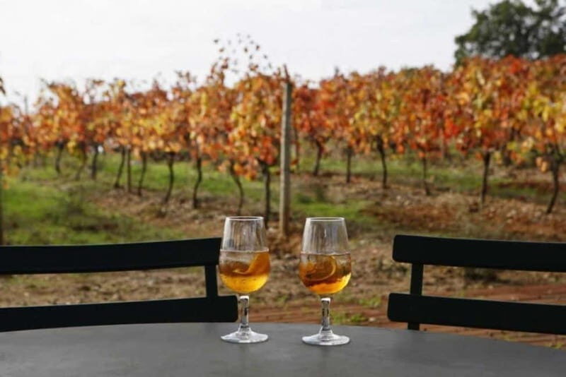 Lisbon: Setúbal, Arrábida and Azeitão Private Wine Tour - The Charm of Azeitão and Its Wineries