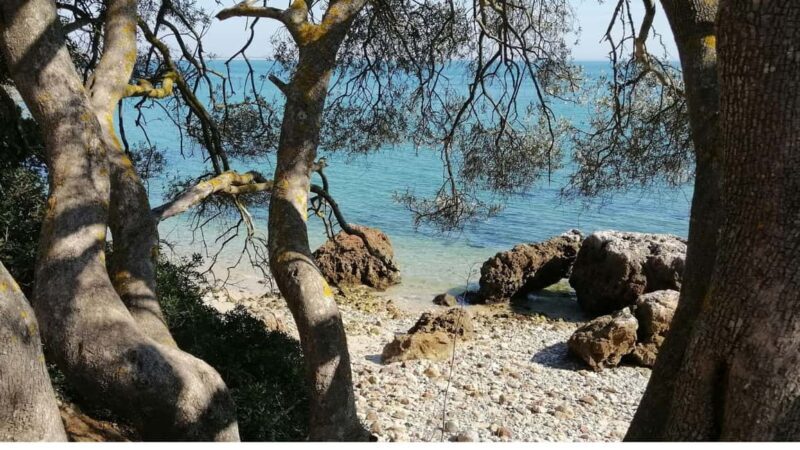 Lisbon: Setúbal, Arrábida, and Sesimbra tour with wine and boat - FAQs