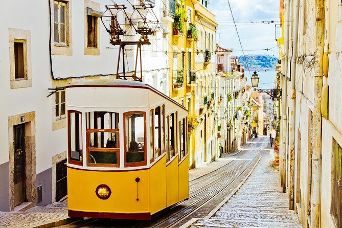 Lisbon Shore Excursion: Private Lisbon Sightseeing Tour - Final Thoughts