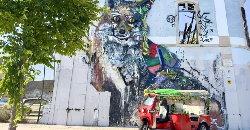 Lisbon: Sightseeing City Tour by Tuk-Tuk - An Honest Look at the Experience